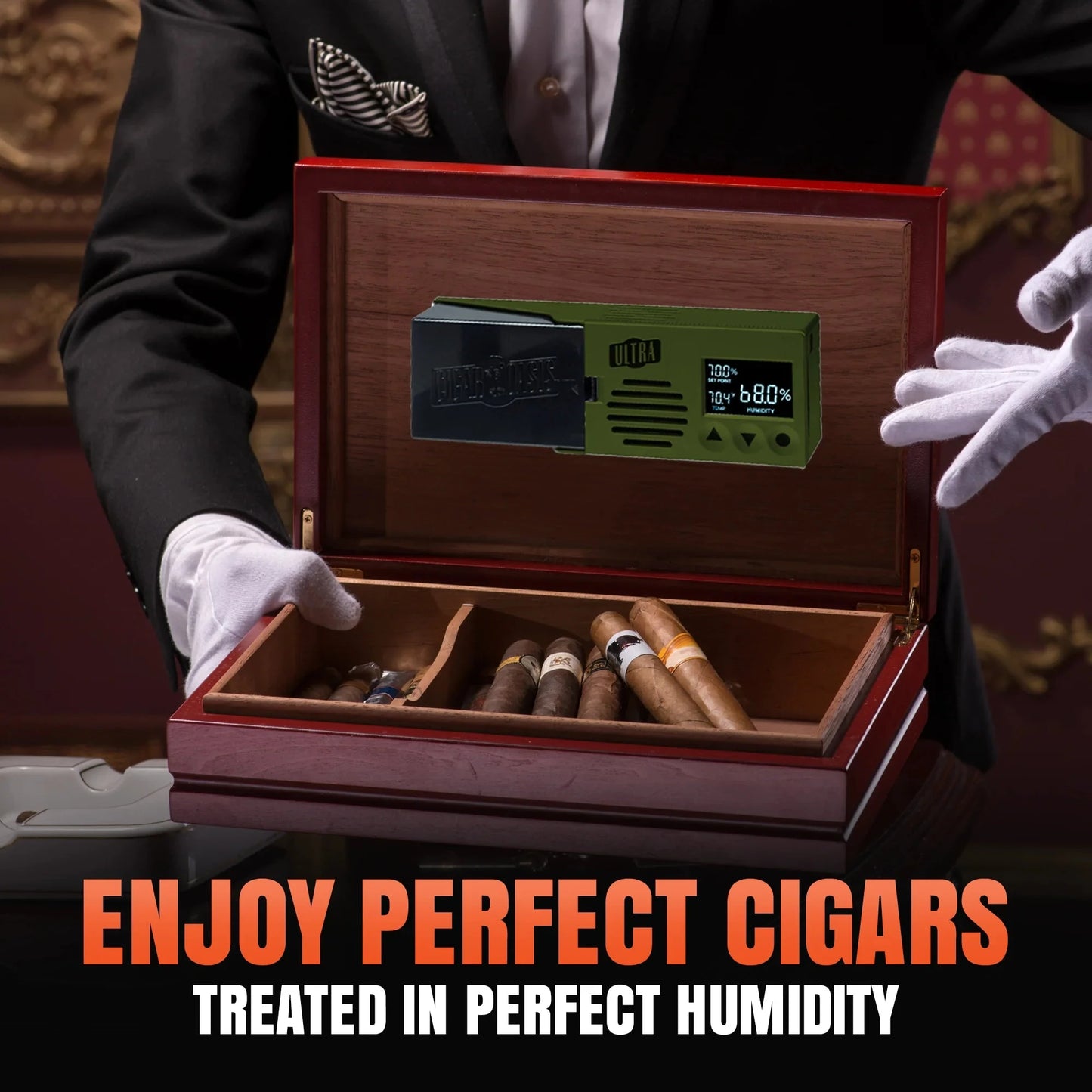 Cigar Oasis Ultra 4.0 electronic humidifier in green with digital humidity display inside polished wood humidor box