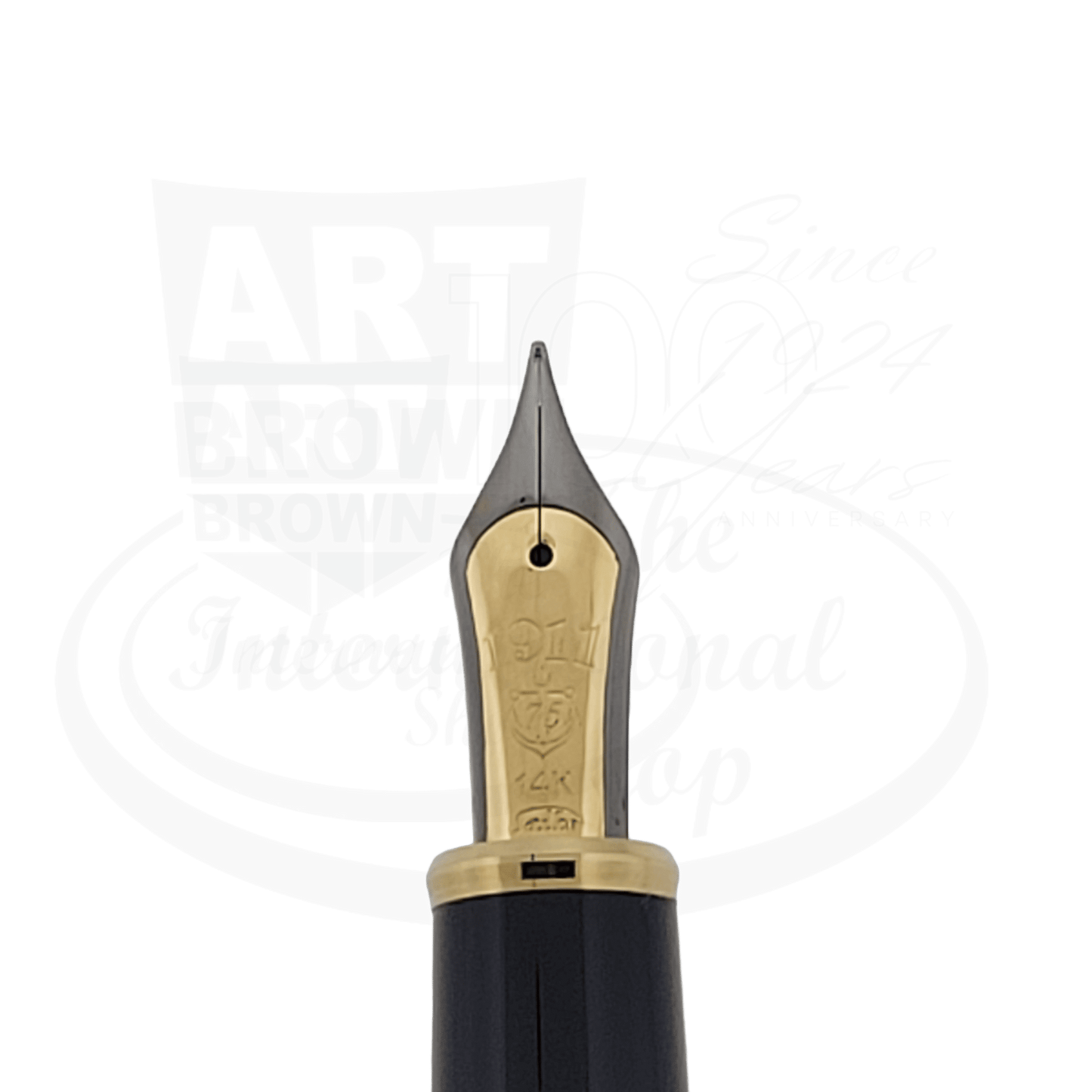 Sailor Profit 75 Carbon Fiber Medium Fountain Pen Set