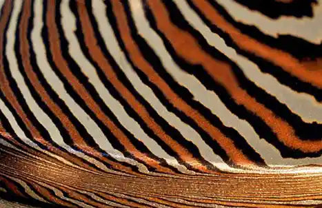 Close up view of the effect produced with the Mokume Gane technique.