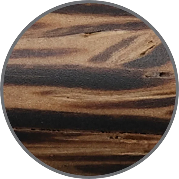 Faber-Castell Ambition Coconut wood grain close-up showing natural light and dark brown texture detail