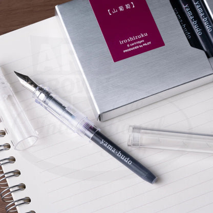 Pilot Iroshizuku plastic ink cartridge 6-pack with grey cardboard box and transparent demonstrator fountain pen showing ink chamber on lined paper